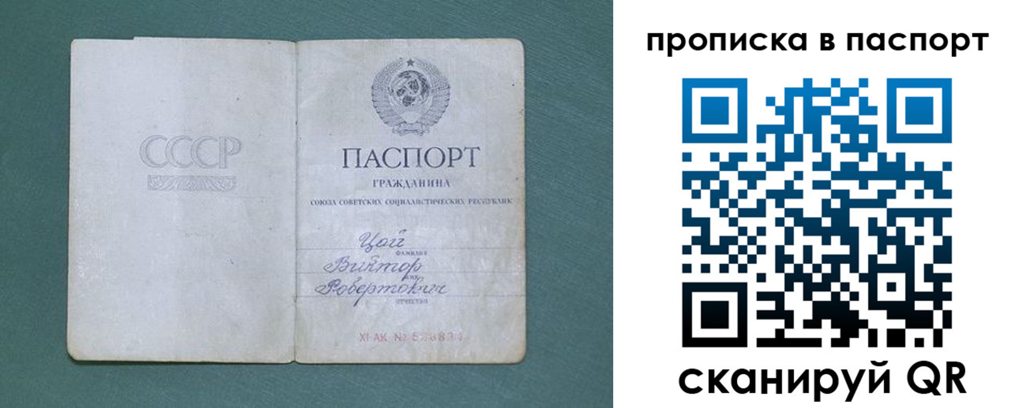 пропишу в квартире в Оленегорске